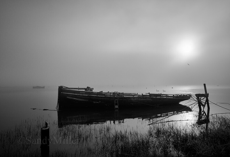 _DSC9017 - New work