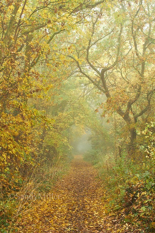 - Within a Few Miles