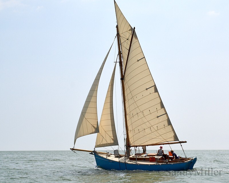 _DSC9316 - OGA East Coast Race 2018