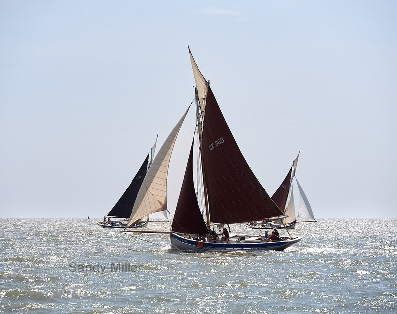 _1020875  - OGA East Coast Race 2022