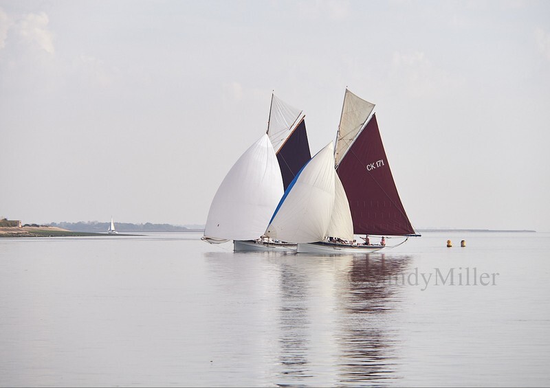 _9167537 - Maldon Regatta 2023
