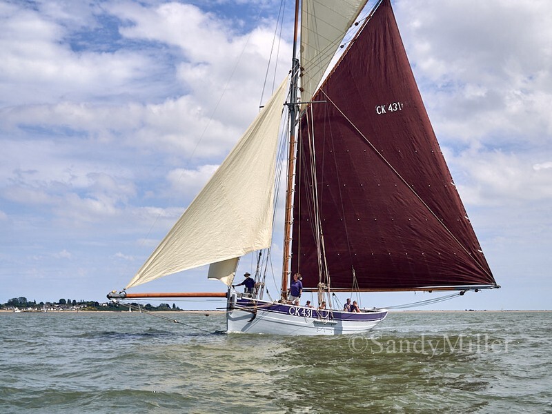 _1010104 - Rowhedge Regatta 2026