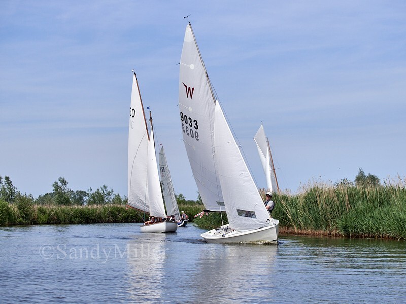 _1016269 - 3 Rivers Race 2026