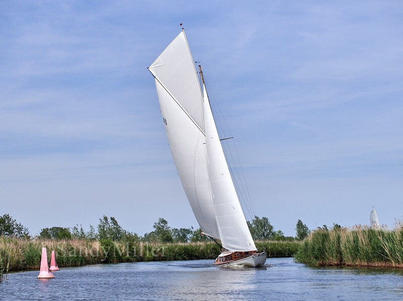 _1016273 - 3 Rivers Race 2026