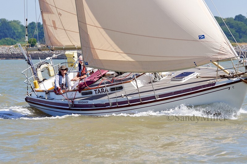 _DSC4425 - Rowhedge Regatta 2018