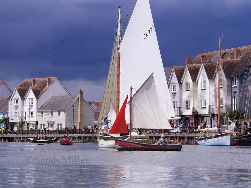 _6223932  - Wivenhoe Regatta 2024