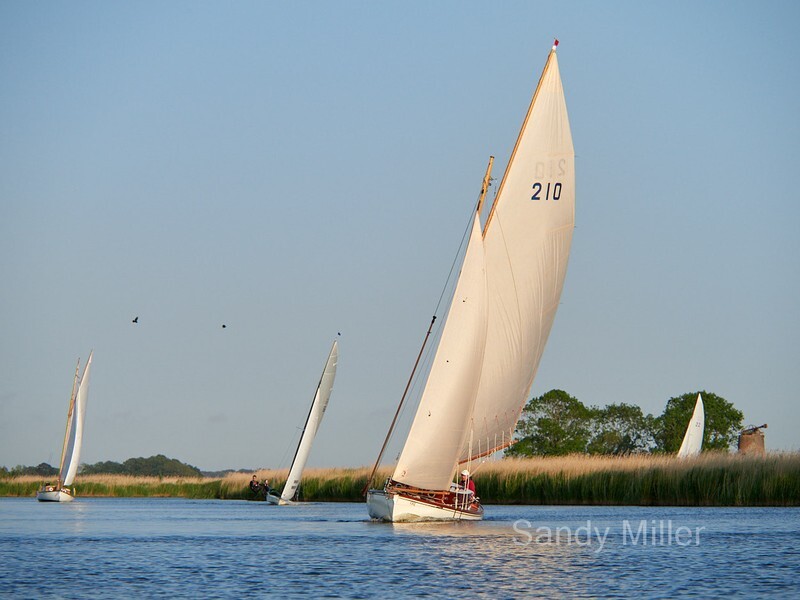 _1012825 - Three Rivers Race 2023