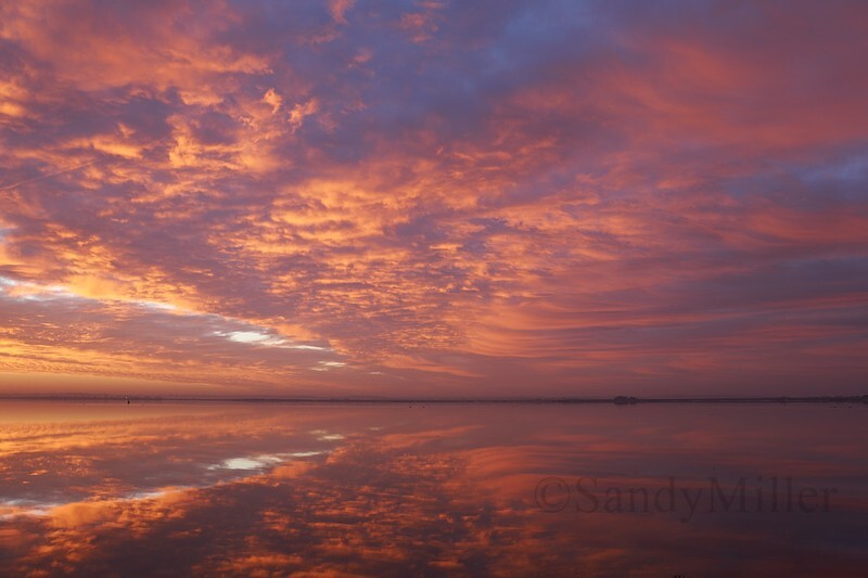 _DSC3042 - Estuary light