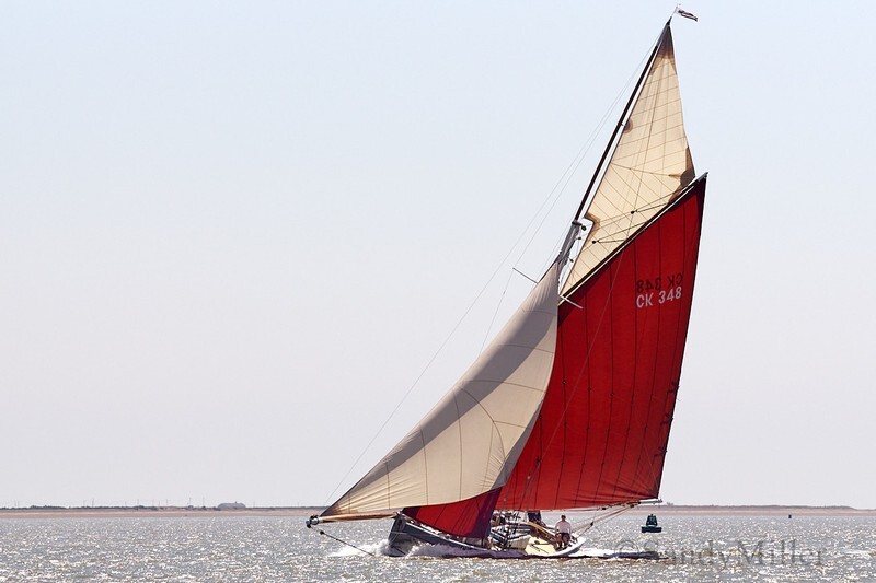 _DSC4458 - Rowhedge Regatta 2018