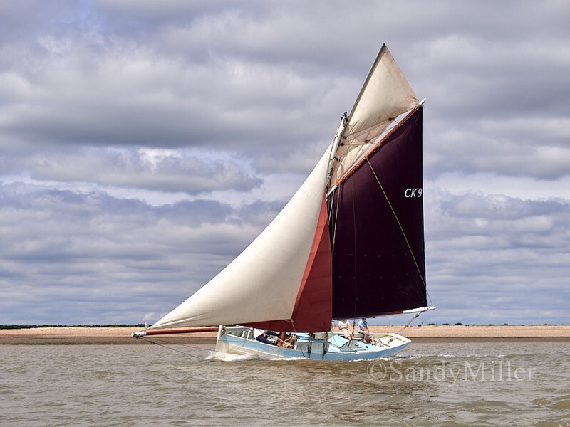 _1017299 - Rowhedge Regatta 2026
