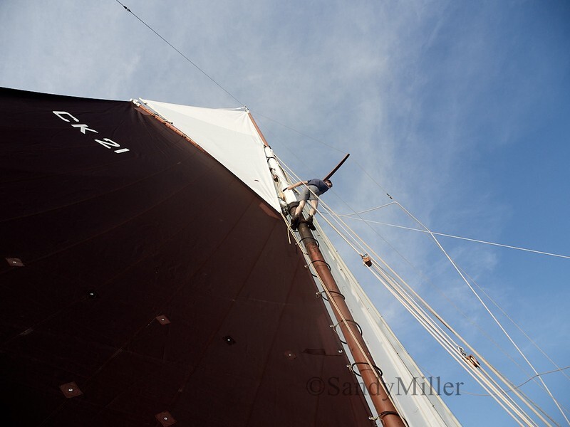 _9160021 - Maldon Regatta 2023
