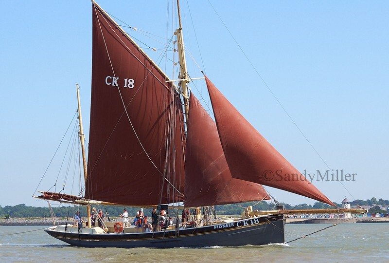 _DSC4435 - Rowhedge Regatta 2018