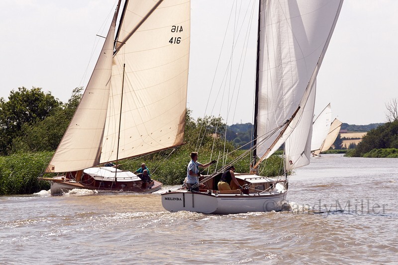 _DSC5736 - YSC Cantley Regatta 2018