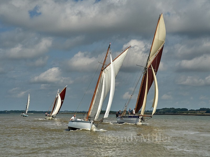 _1010035_1 - Rowhedge Regatta 2025