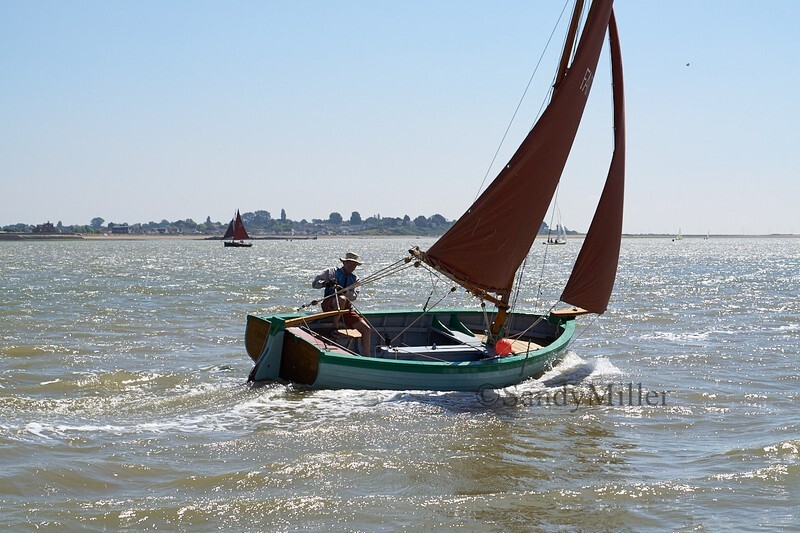 _DSC9031 - Rowhedge Regatta 2018