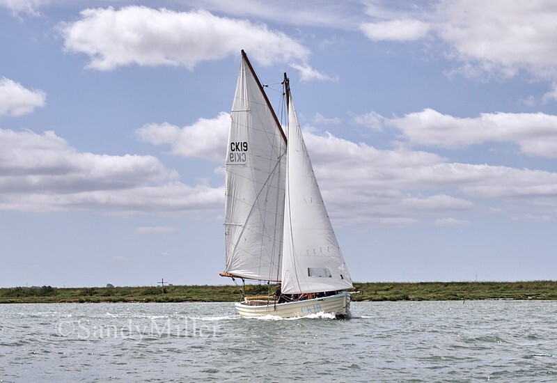 _1016923 - MFOBS River Race 13 June West Mersea