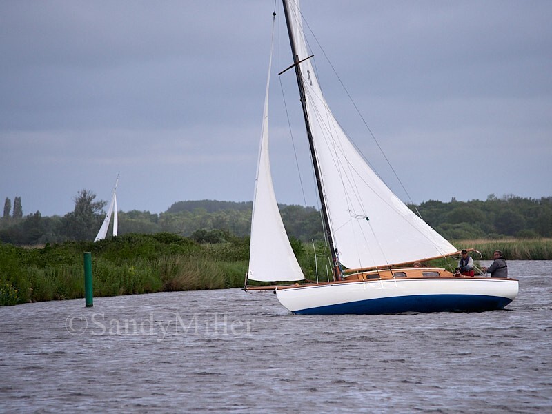 _6013031 - 3 Rivers Race 2024