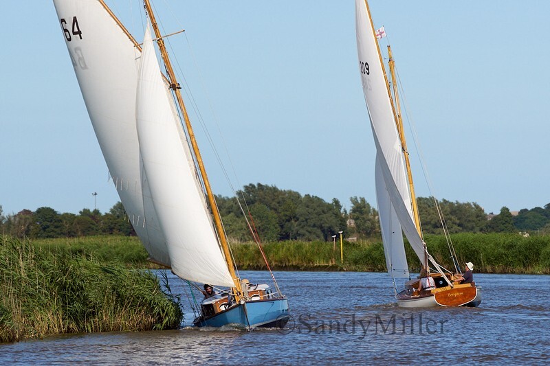 _DSC5539 - YSC Cantley Regatta 2018