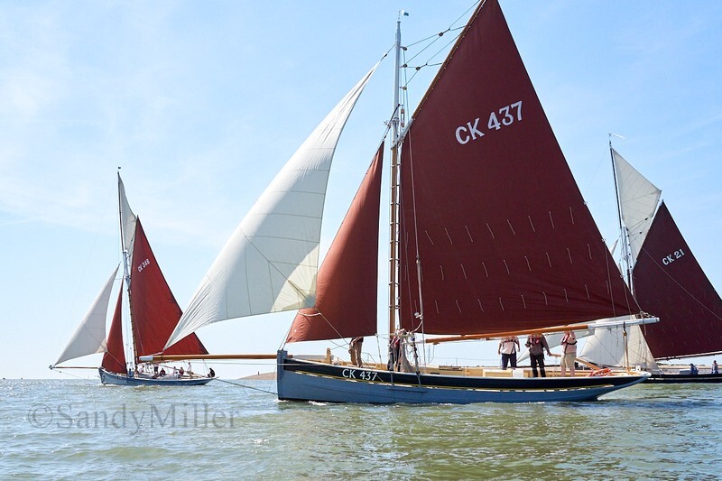 _DSC9594 - Rowhedge Regatta 2019