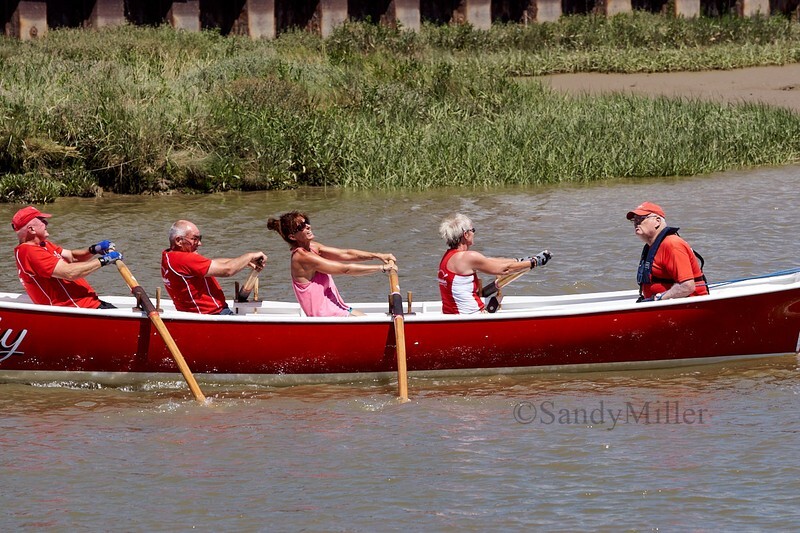 _DSC4516 - Rowhedge Regatta 2018
