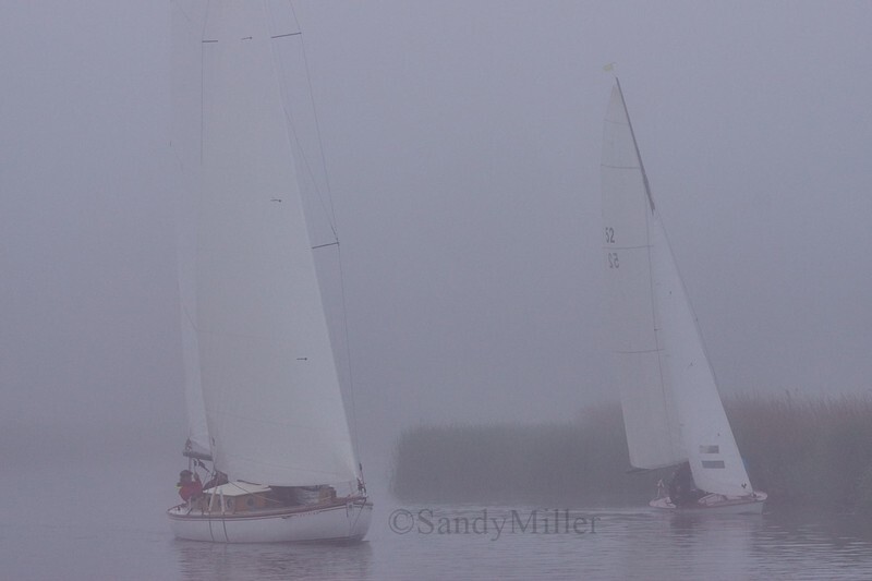 _DSC3122 - 3 Rivers Race 2018