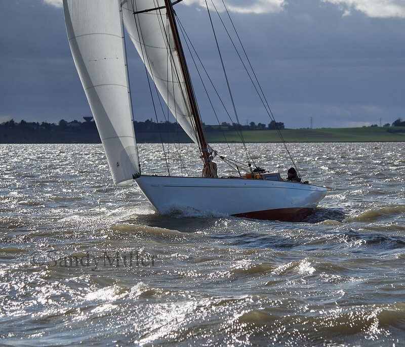 _1015224 - Turkey Race 2025