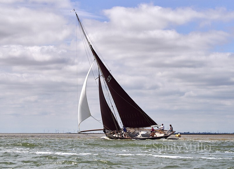 _1017272 - Rowhedge Regatta 2026