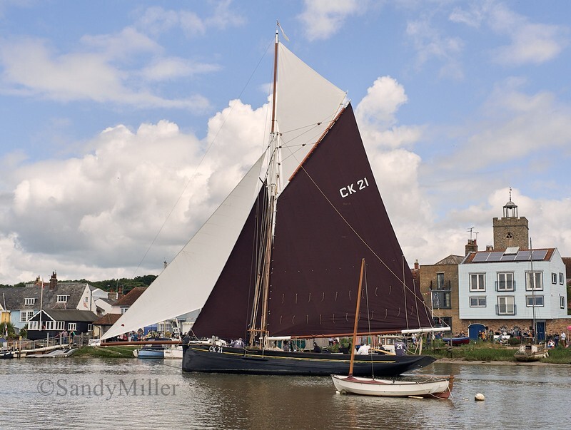 _6220035  - Wivenhoe Regatta 2024