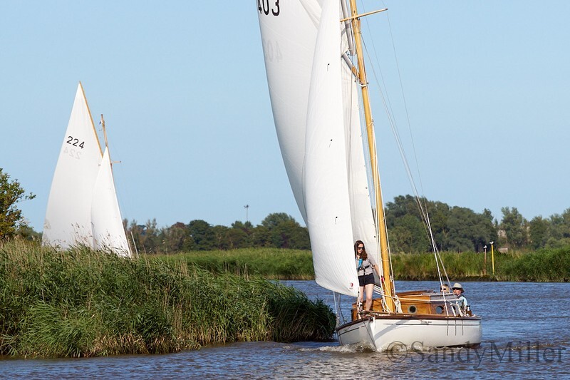 _DSC5501 - YSC Cantley Regatta 2018
