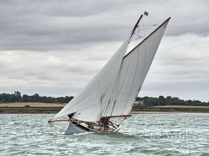 _1011077 - OGA East Coast Race 5 July 2025