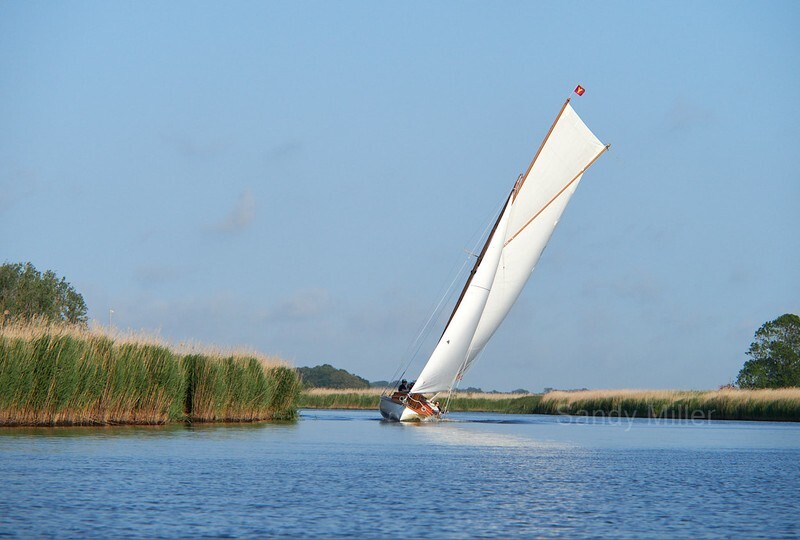 _1012645 - Three Rivers Race 2023