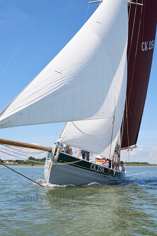 _DSC9588 - Rowhedge Regatta 2019