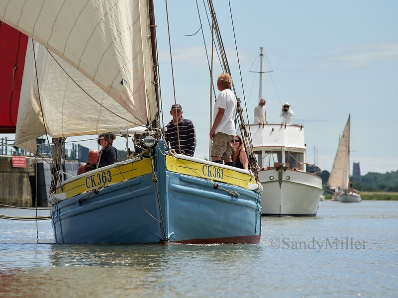 _6223982  - Wivenhoe Regatta 2024