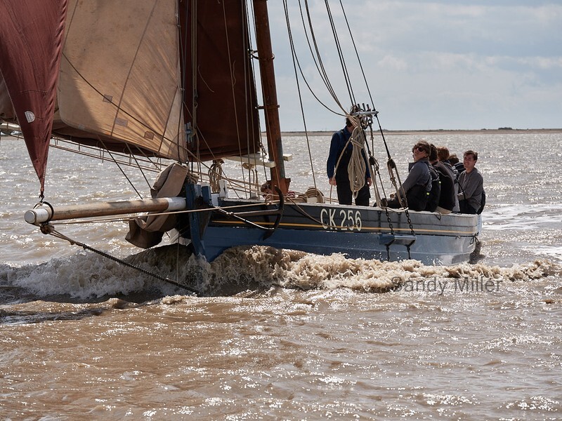_1019880  - Wivenhoe Regatta 2022