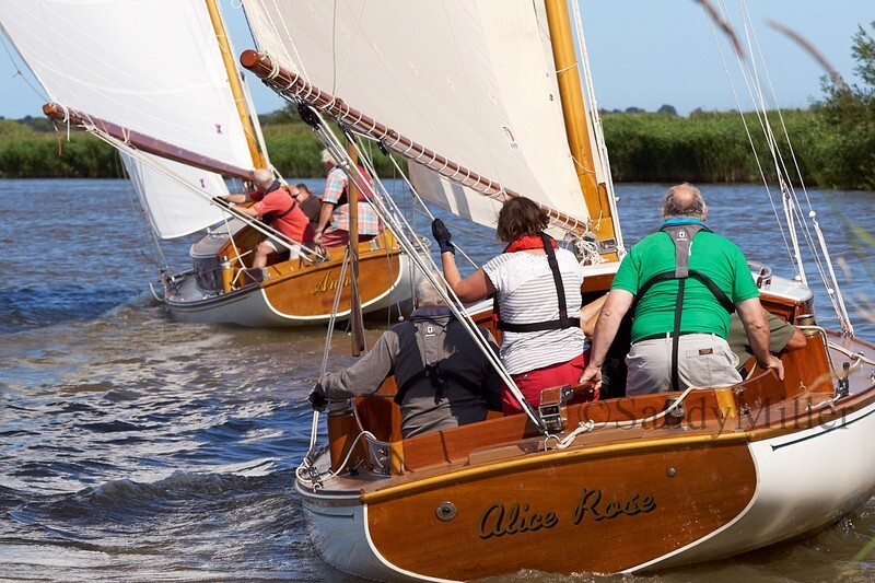 _DSC5333 - YSC Cantley Regatta 2018