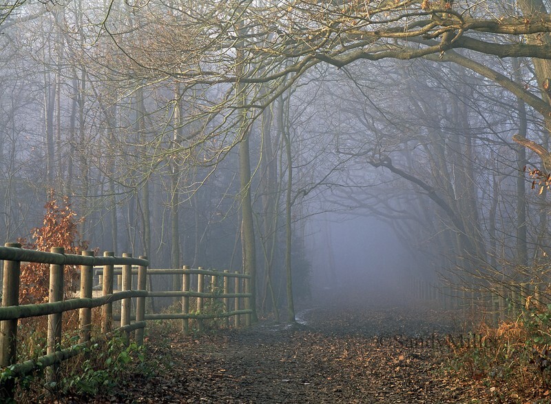  - Within a Few Miles