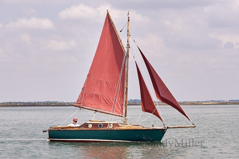 _DSC5936 - OGA East Coast Race 2018