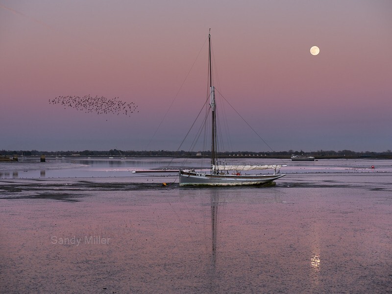 _1017835 - Estuary light