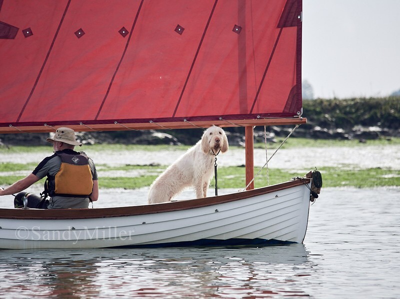 _1015536 - OGA Deben Rally / WBTA Wooden Boat Gathering 2026