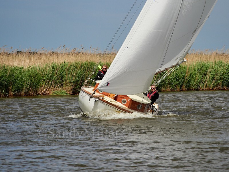 _1018699 - TMOR 2025