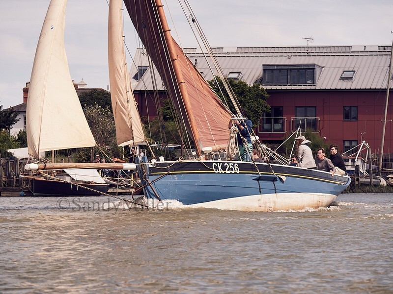_1019991 - Wivenhoe Regatta 2022