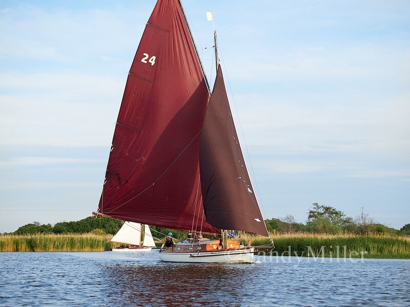 _1019755 - 3 Rivers Race 2025