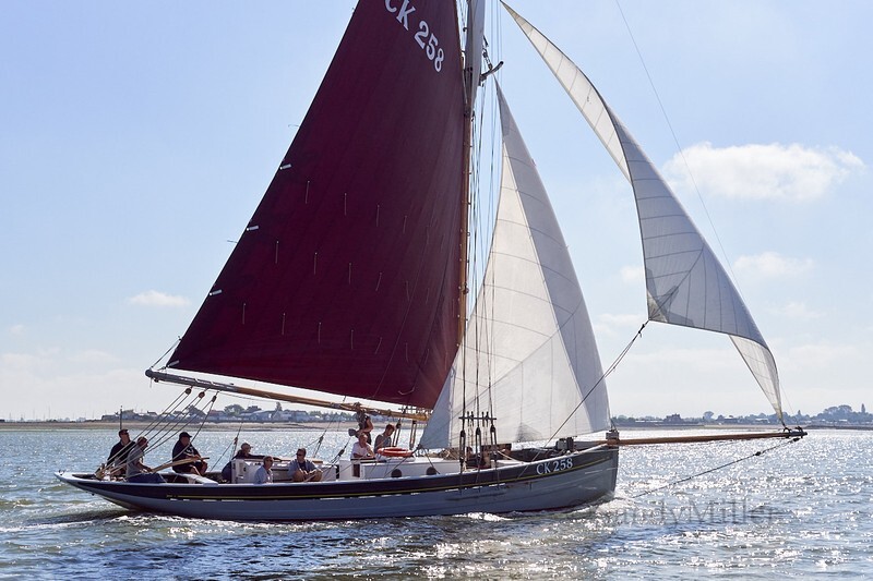 _DSC4386 - Rowhedge Regatta 2018