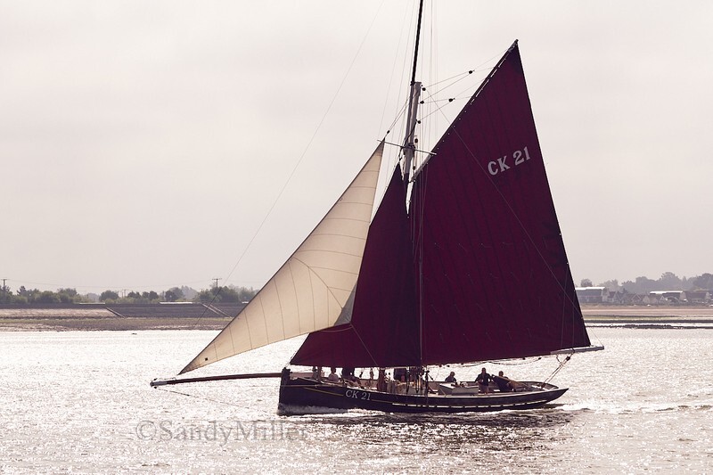 _DSC4333 - Rowhedge Regatta 2018