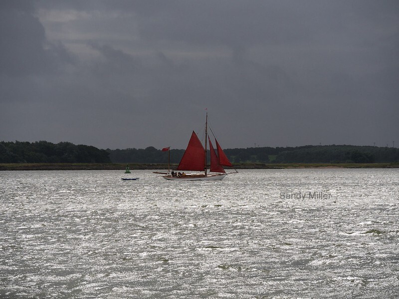 P1015278 - Albert Strange Association Meet 2021