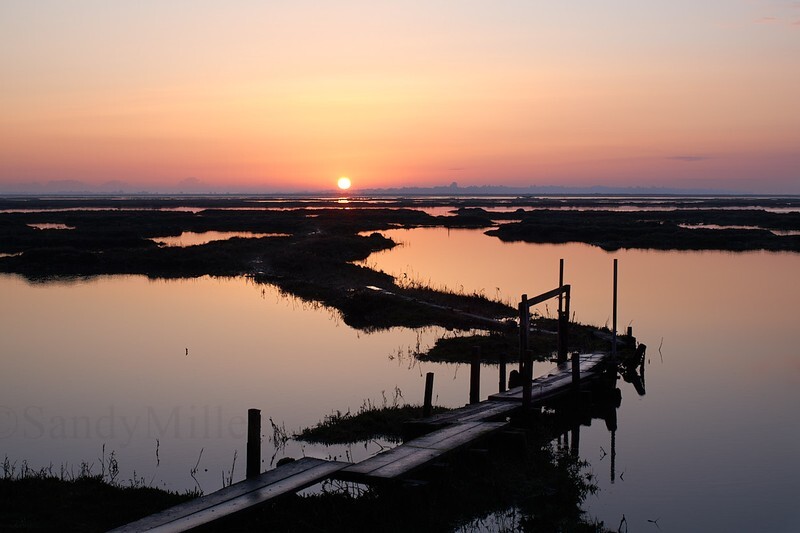_DSC9133 - Estuary light