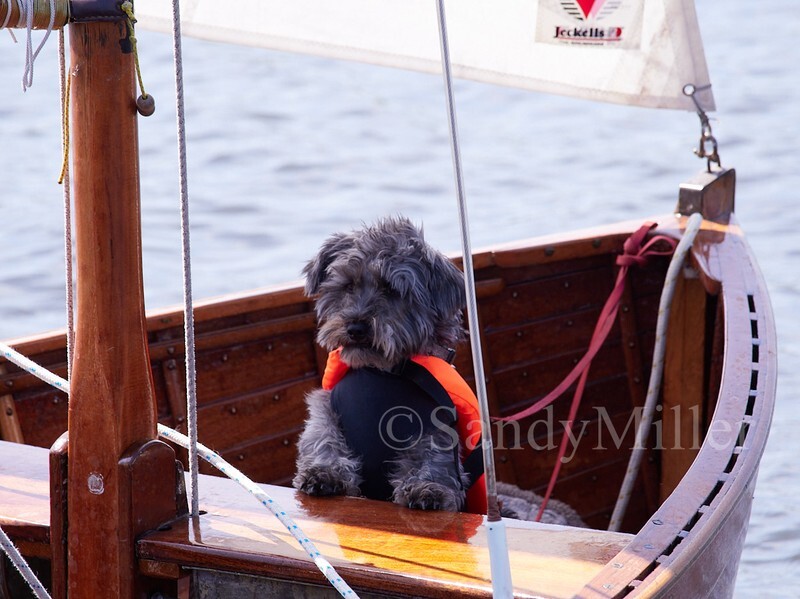 _5190912 - Norfolk One Design Open 2024