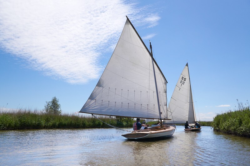 _DSC9955  - 3 Rivers Race 2021