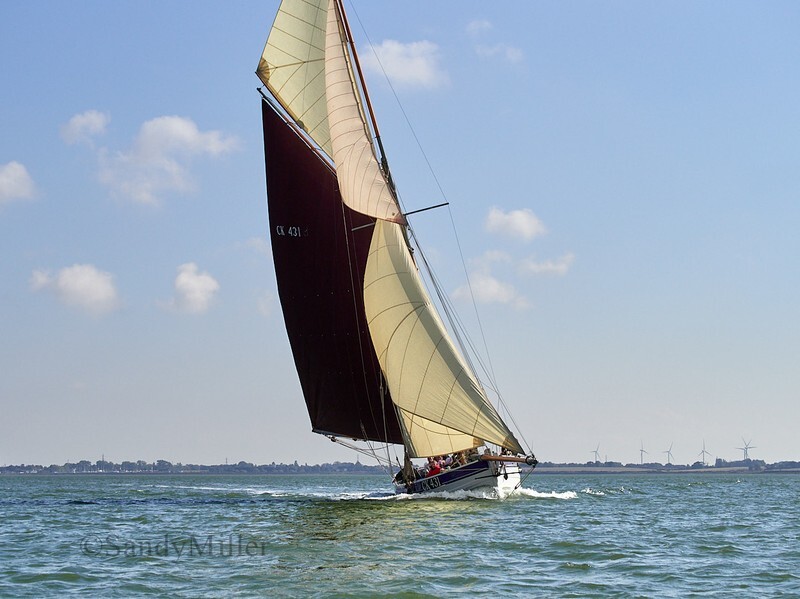 _1013943 - Maldon Regatta 2025