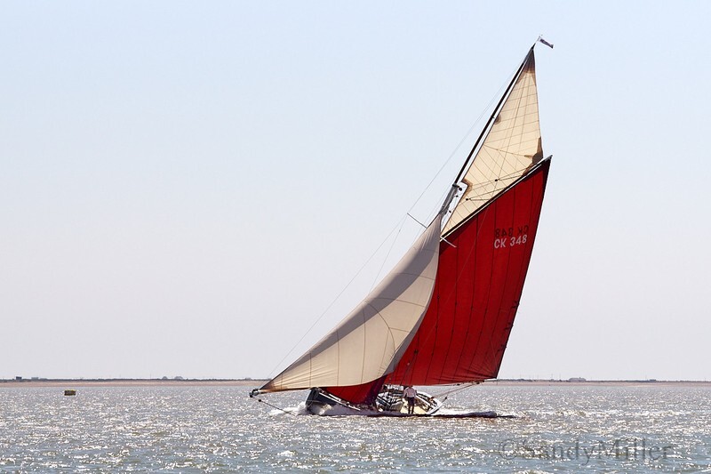 _DSC4459 - Rowhedge Regatta 2018